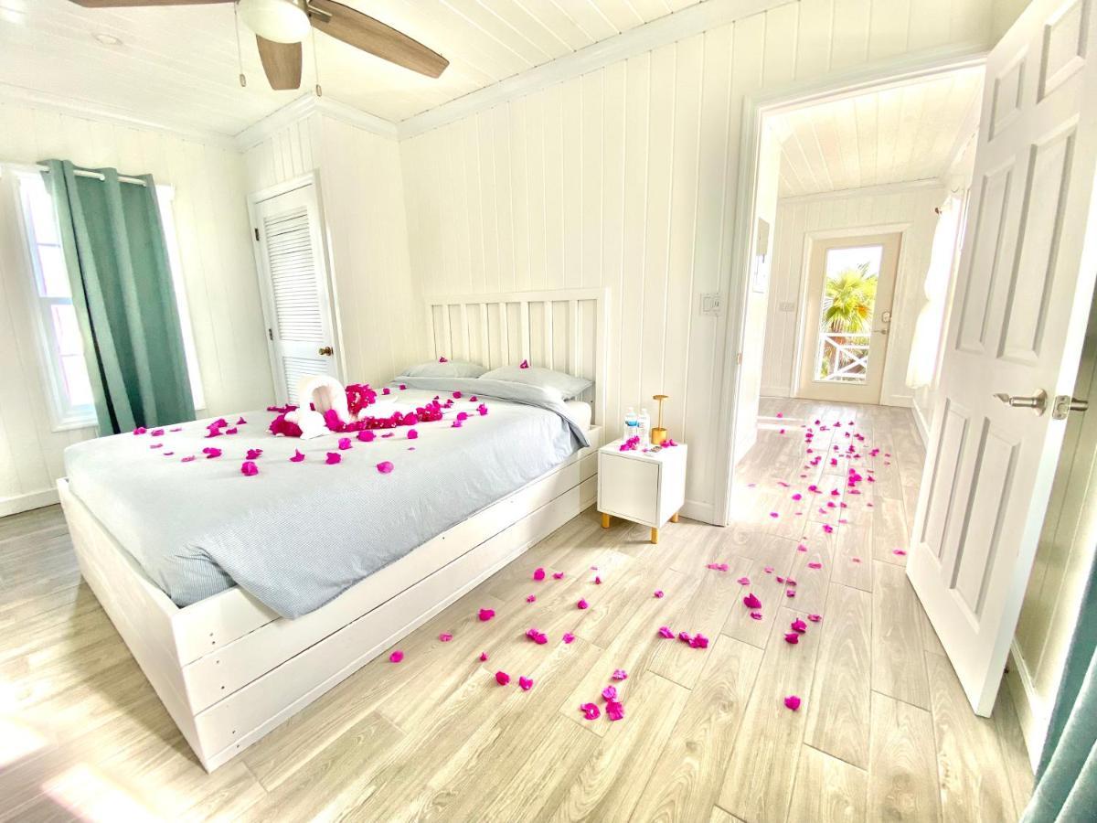 Eleuthera Retreat - Villa & Cottages On Pink Sand Beachfront Palmetto Point Exterior photo